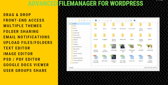 File Manager Plugin For WordPress